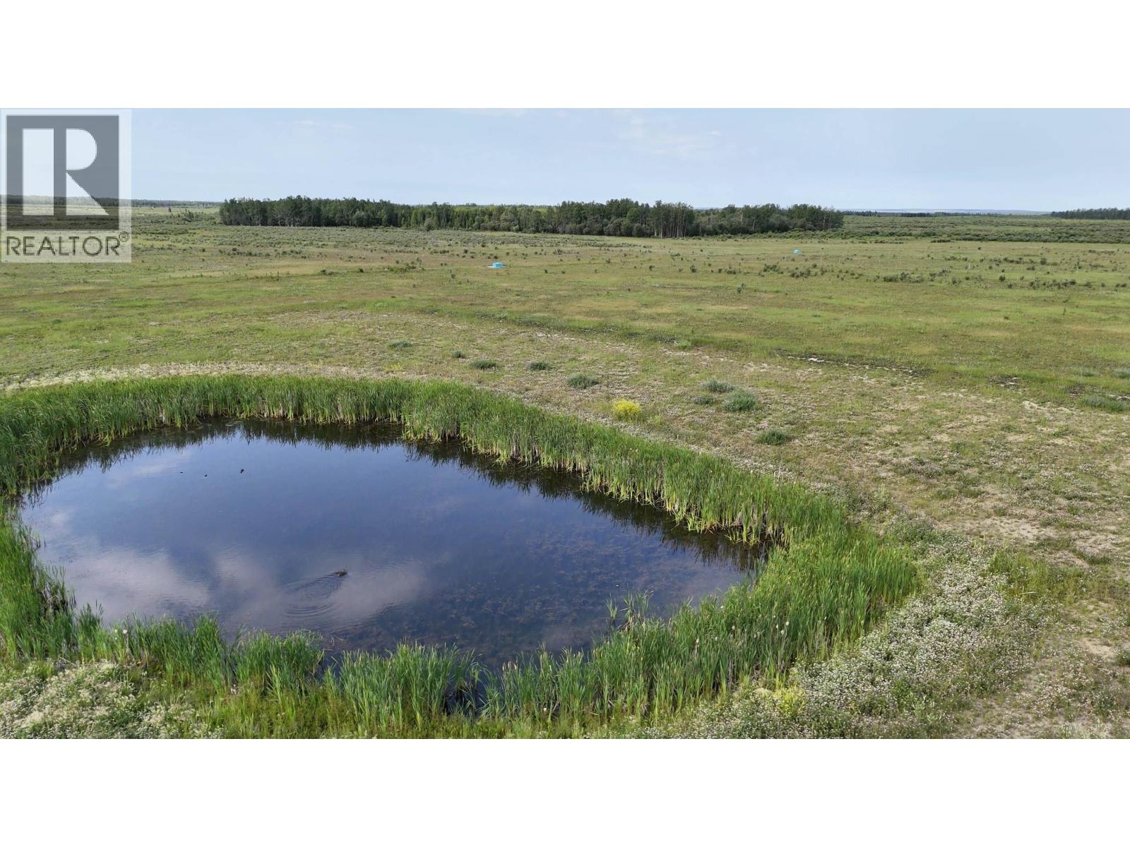 19462 Milligan Creek Road, Fort St. John, British Columbia  V1J 4H8 - Photo 11 - C8071498