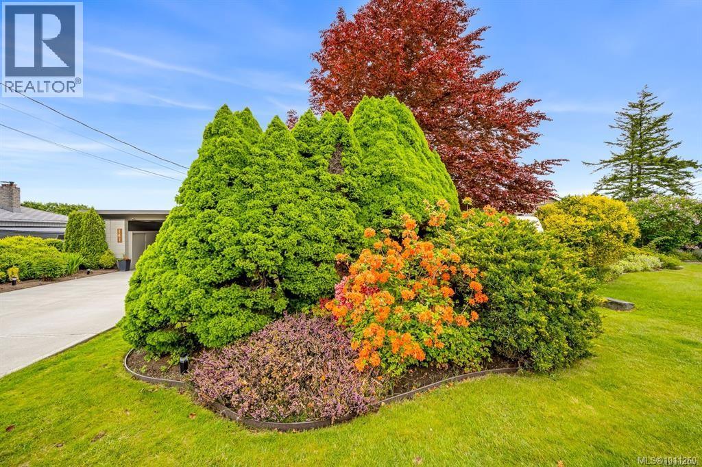 141 Thulin St, Campbell River, British Columbia  V9W 2K4 - Photo 62 - 1011260