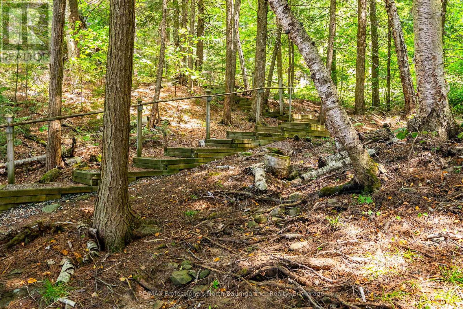 2772 Wilkinson Road, Dysart Et Al, Ontario  K0M 1S0 - Photo 37 - X12347900