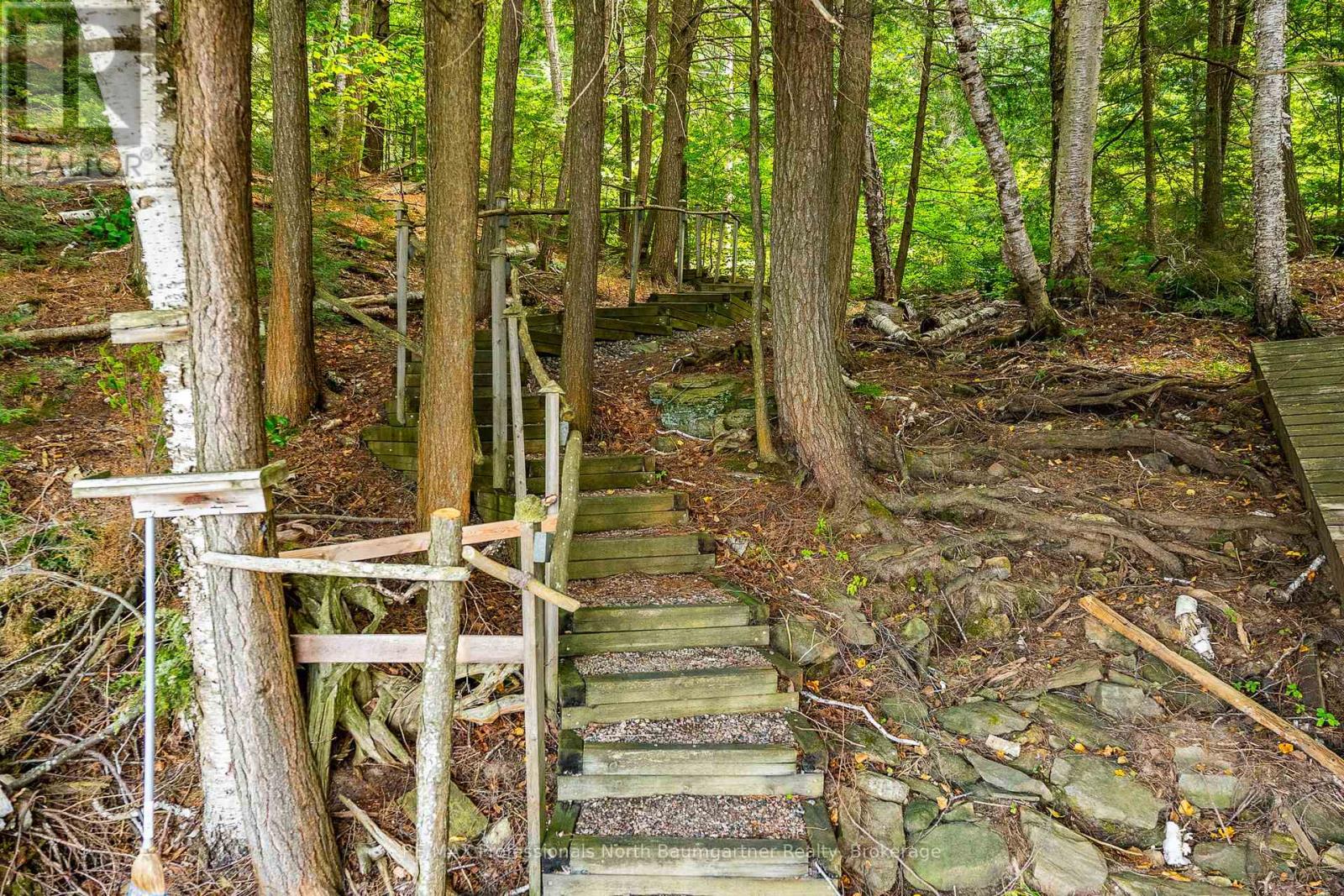 2772 Wilkinson Road, Dysart Et Al, Ontario  K0M 1S0 - Photo 38 - X12347900