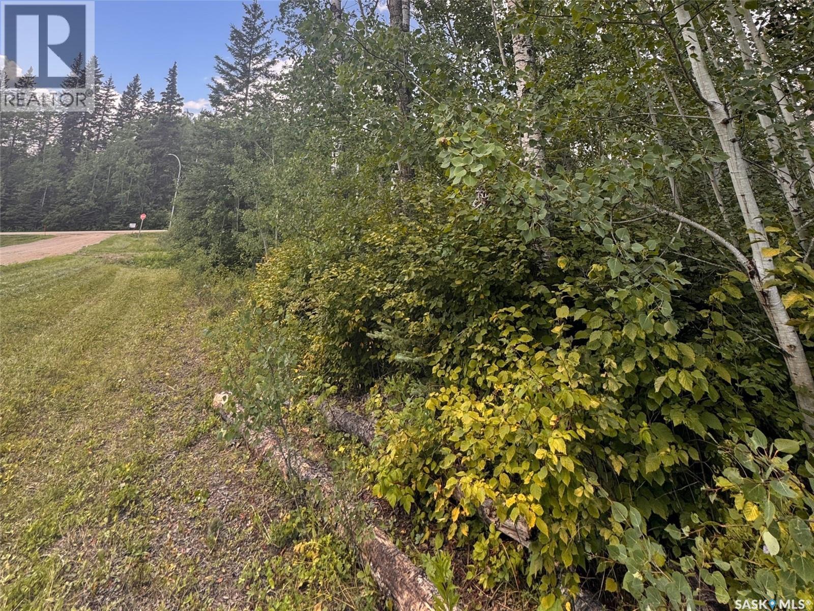 202 Sunrise Crescent, Paddockwood Rm No. 520, Saskatchewan  S0J 0N0 - Photo 4 - SK015735