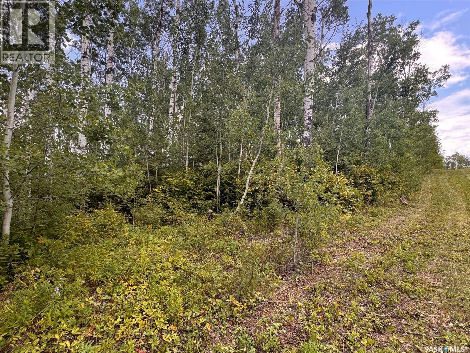 202 Sunrise Crescent, Paddockwood Rm No. 520, Saskatchewan  S0J 0N0 - Photo 5 - SK015735