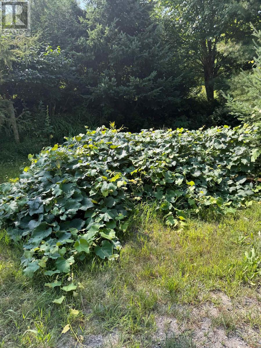 261a Copeland Lake Road, Addington Highlands, Ontario  K0H 1L0 - Photo 32 - X12347056