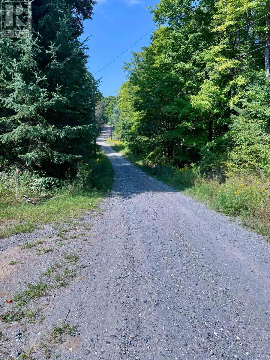 261a Copeland Lake Road, Addington Highlands, Ontario  K0H 1L0 - Photo 30 - X12347056
