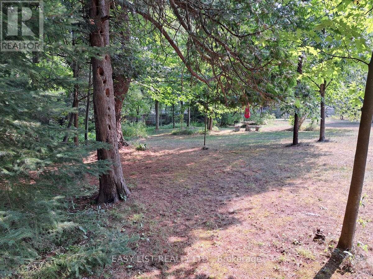 18 Mill Street, Essa, Ontario  L3W 0V7 - Photo 37 - N12347976