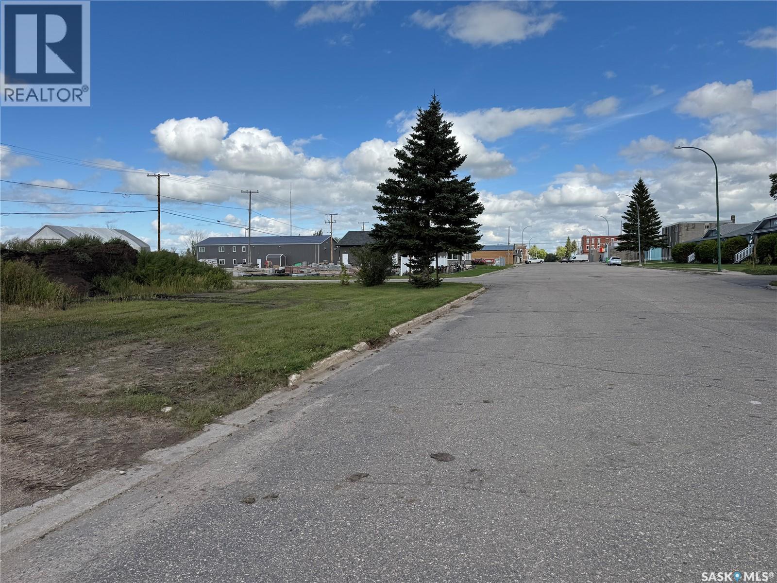 306 B Avenue W, Wynyard, Saskatchewan  S0A 4T0 - Photo 4 - SK015763