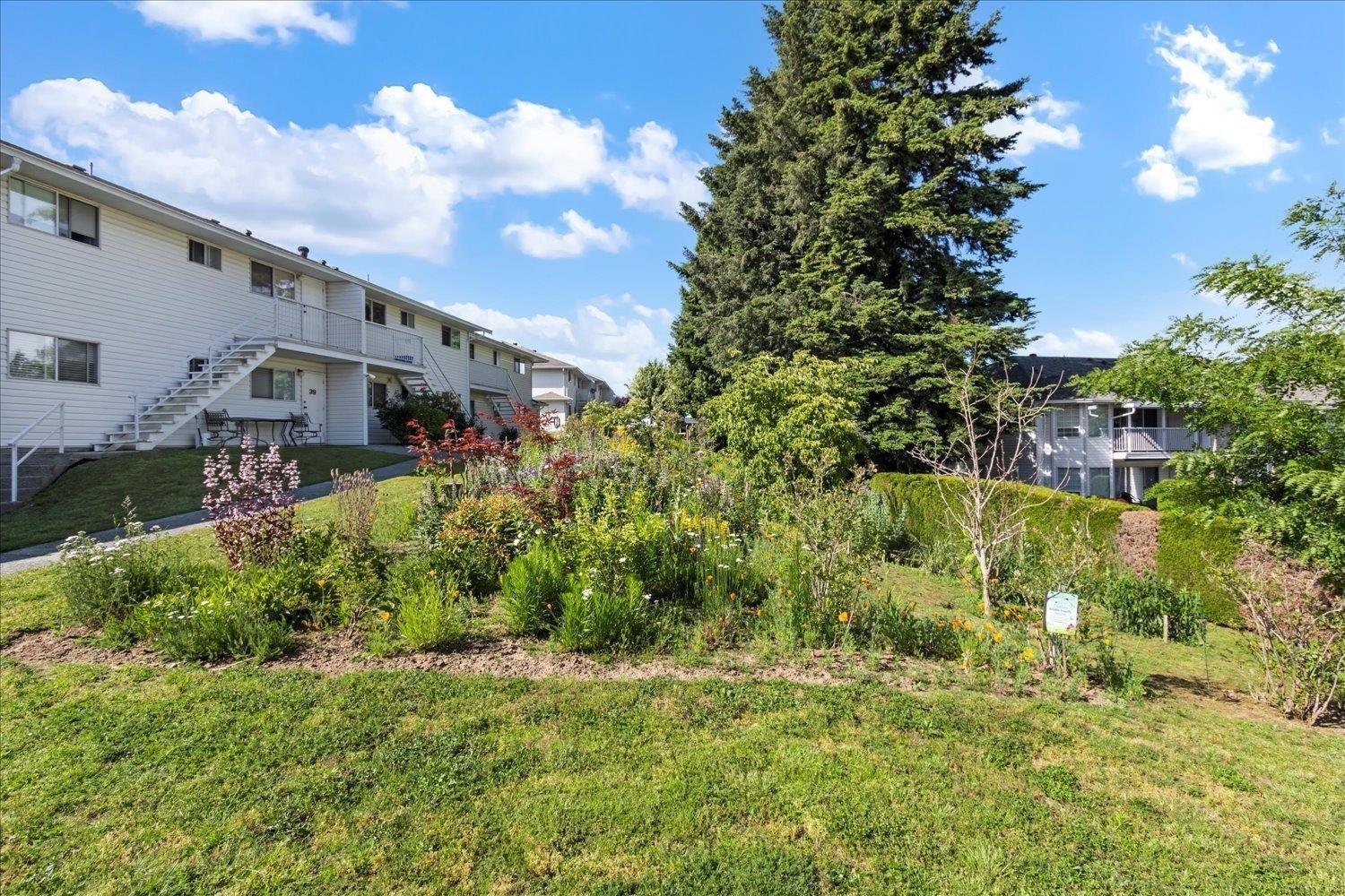 39 2938 Trafalgar Street, Abbotsford, British Columbia  V2S 4N3 - Photo 12 - R3037123