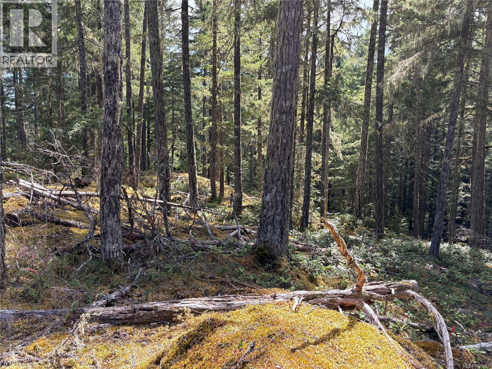 Sl9 Trailhead Lane, Shawnigan Lake, British Columbia  V0R 2W3 - Photo 17 - 1011255