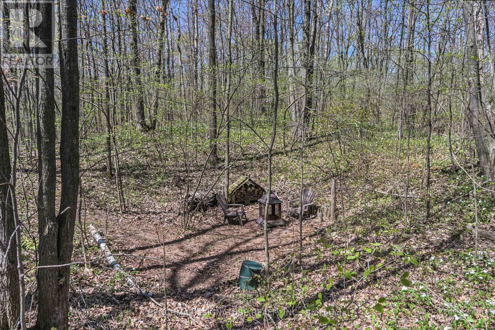 115 Fog Road, King, Ontario  L7B 1A3 - Photo 38 - N12348335