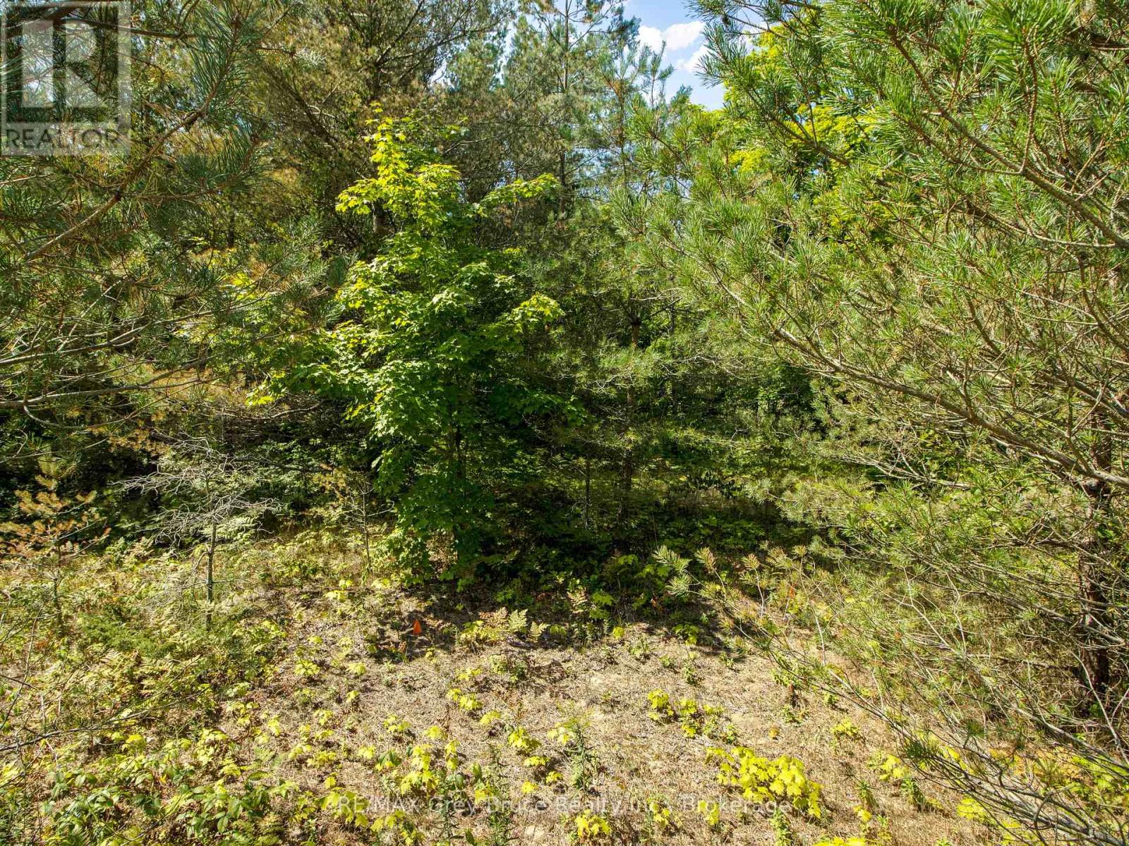 9 Campbell Crescent, South Bruce Peninsula, Ontario  N0H 2G0 - Photo 4 - X12348401