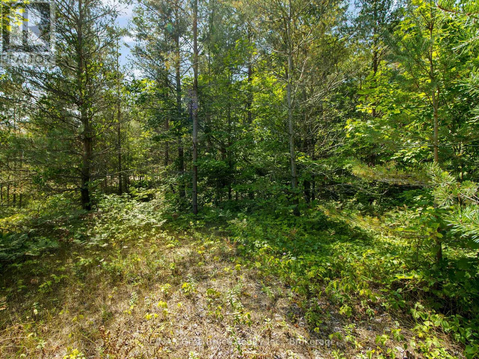 9 Campbell Crescent, South Bruce Peninsula, Ontario  N0H 2G0 - Photo 5 - X12348401