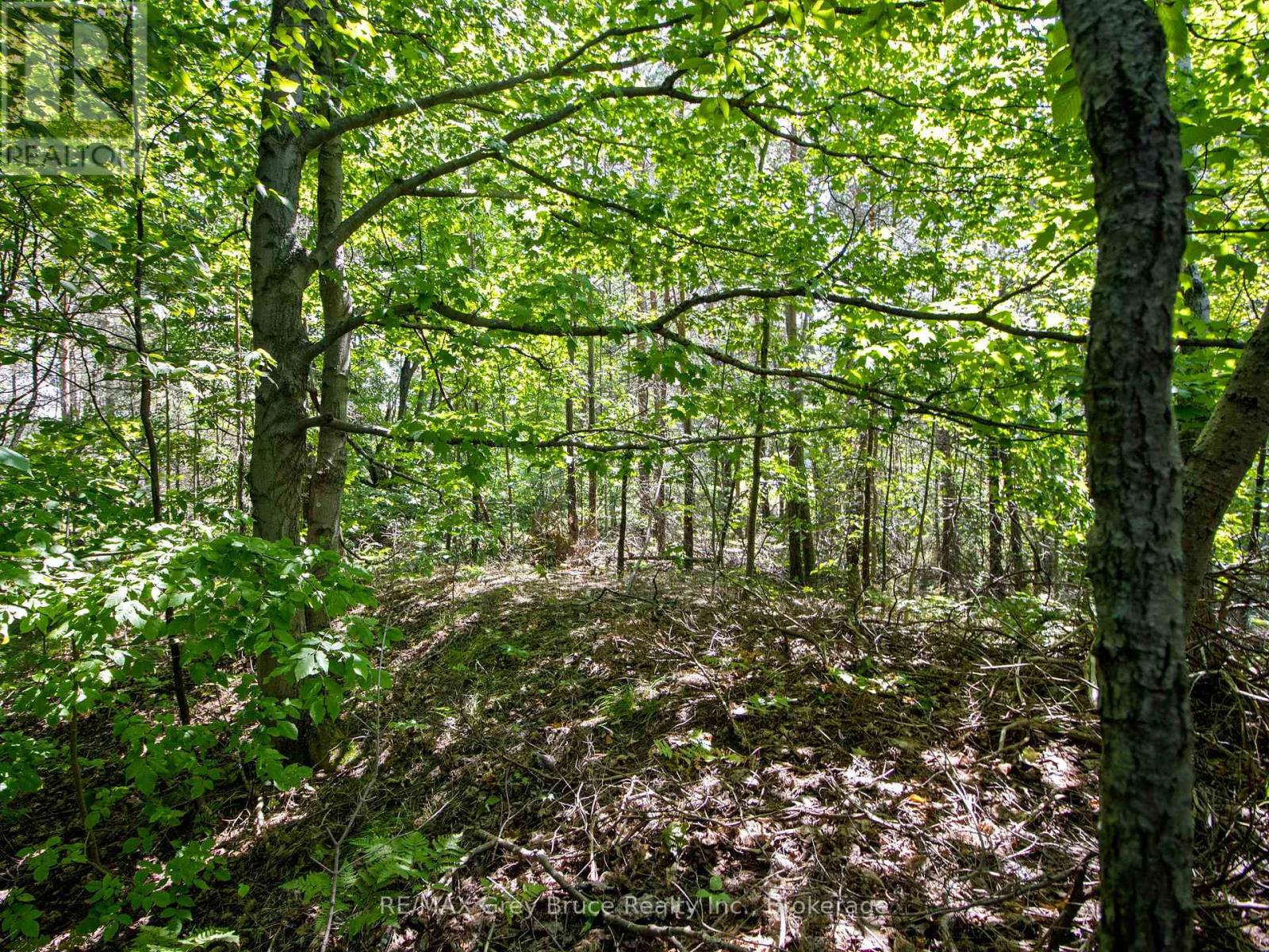 9 Campbell Crescent, South Bruce Peninsula, Ontario  N0H 2G0 - Photo 6 - X12348401