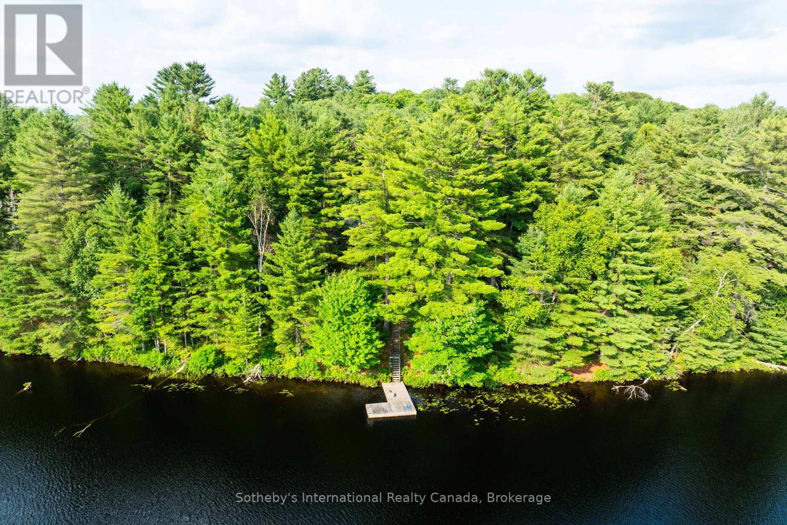 176 Ripple & Palette Lake Road, Huntsville, Ontario  P1H 2J4 - Photo 46 - X12304191