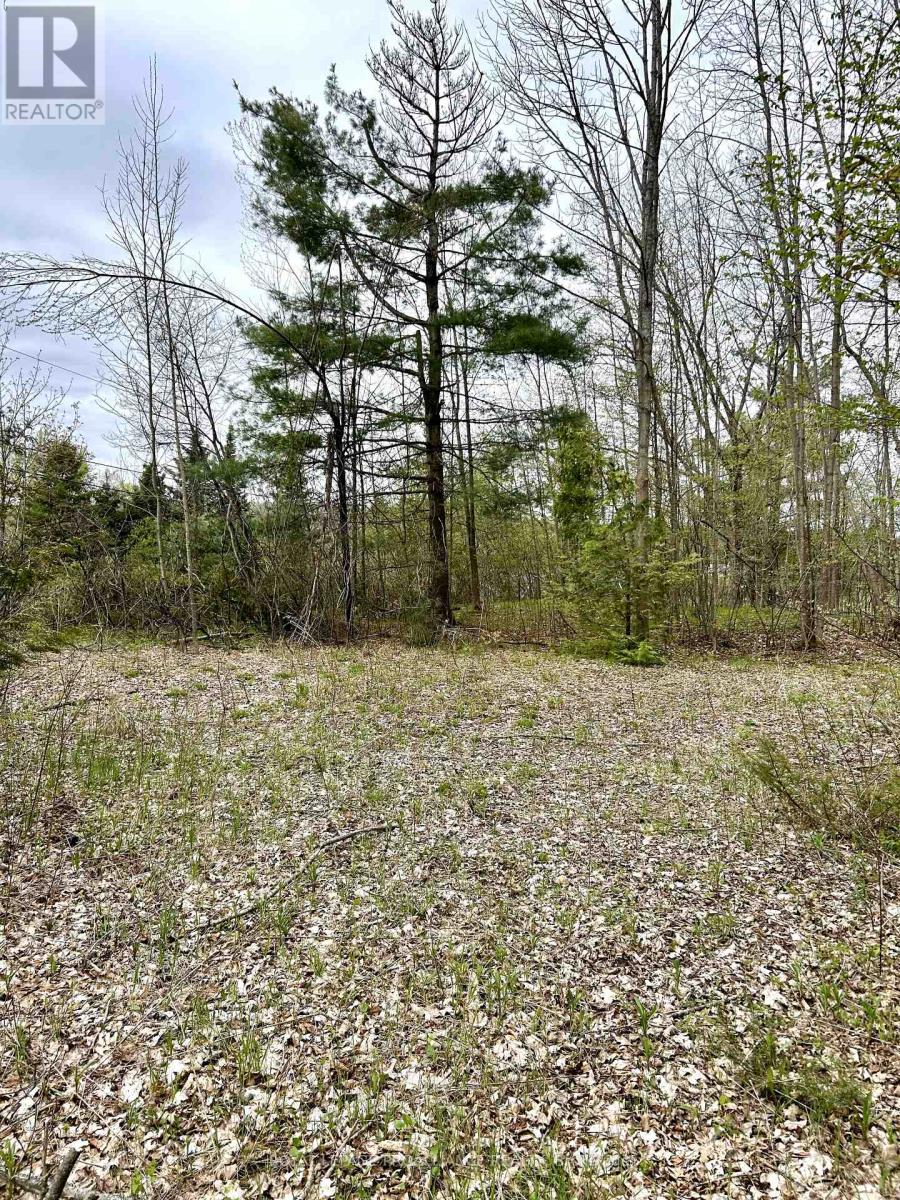 31 Glen Ridge Road, Marmora And Lake, Ontario  K0K 2M0 - Photo 4 - X12348604