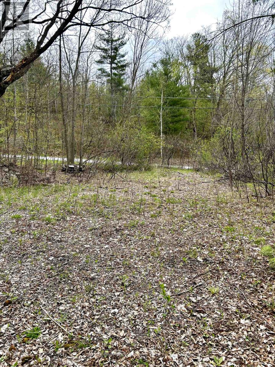 31 Glen Ridge Road, Marmora And Lake, Ontario  K0K 2M0 - Photo 5 - X12348604