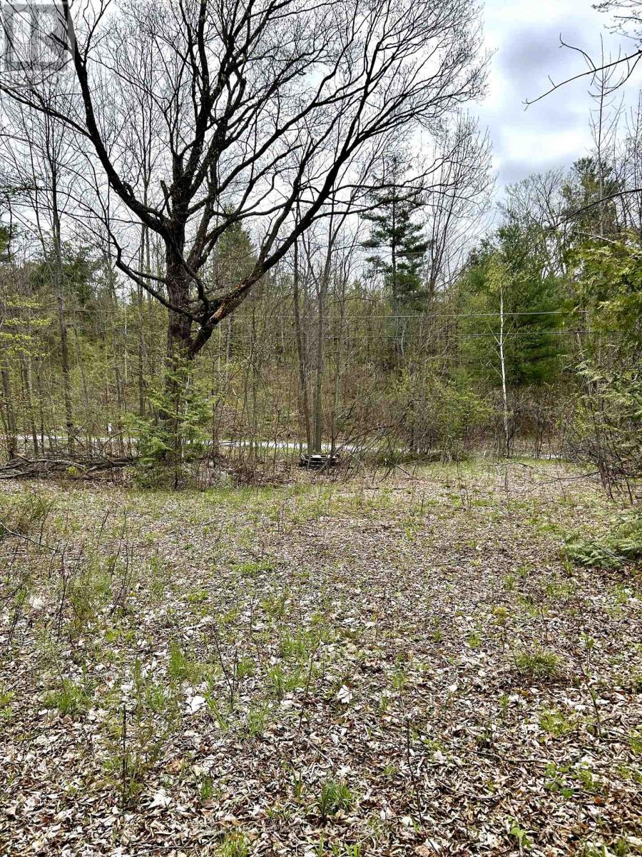 31 Glen Ridge Road, Marmora And Lake, Ontario  K0K 2M0 - Photo 6 - X12348604