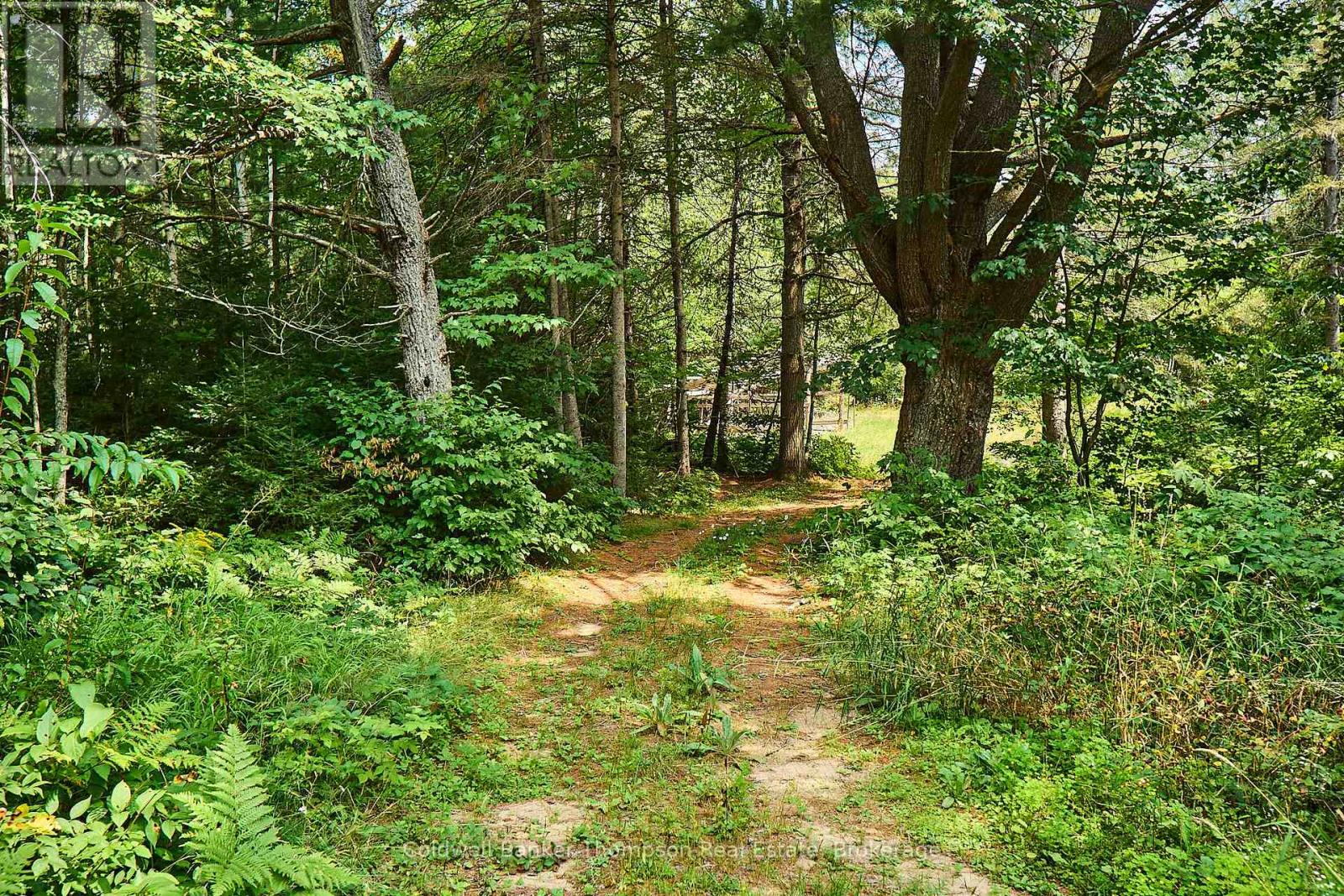 185 Halls Road E, Magnetawan, Ontario  P0A 1Z0 - Photo 12 - X12348566