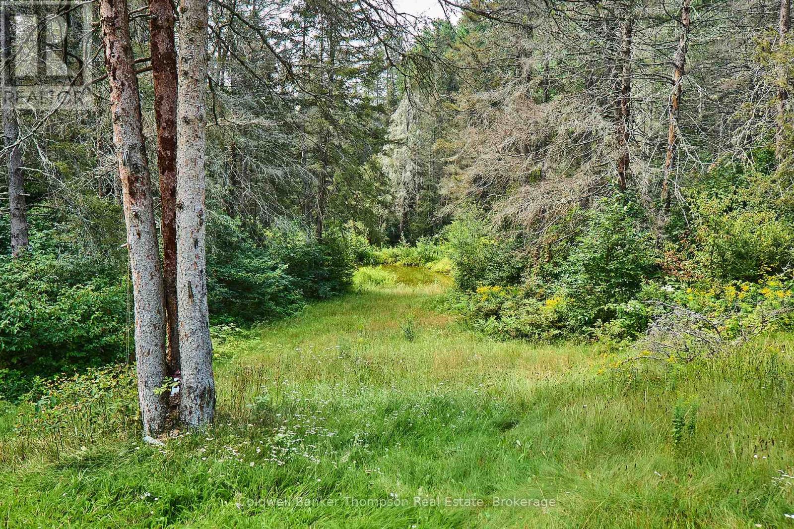 185 Halls Road E, Magnetawan, Ontario  P0A 1Z0 - Photo 14 - X12348566