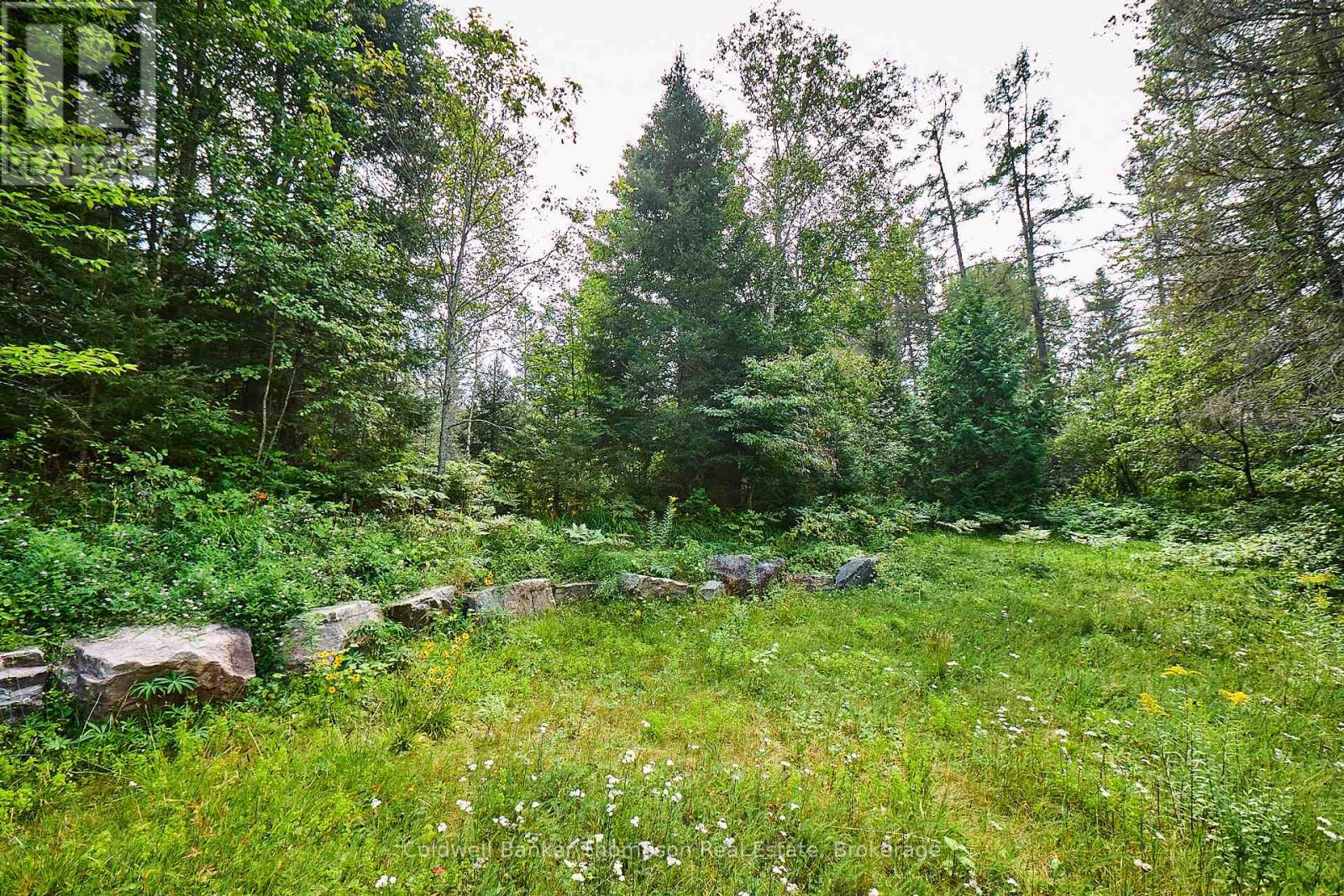 185 Halls Road E, Magnetawan, Ontario  P0A 1Z0 - Photo 6 - X12348566