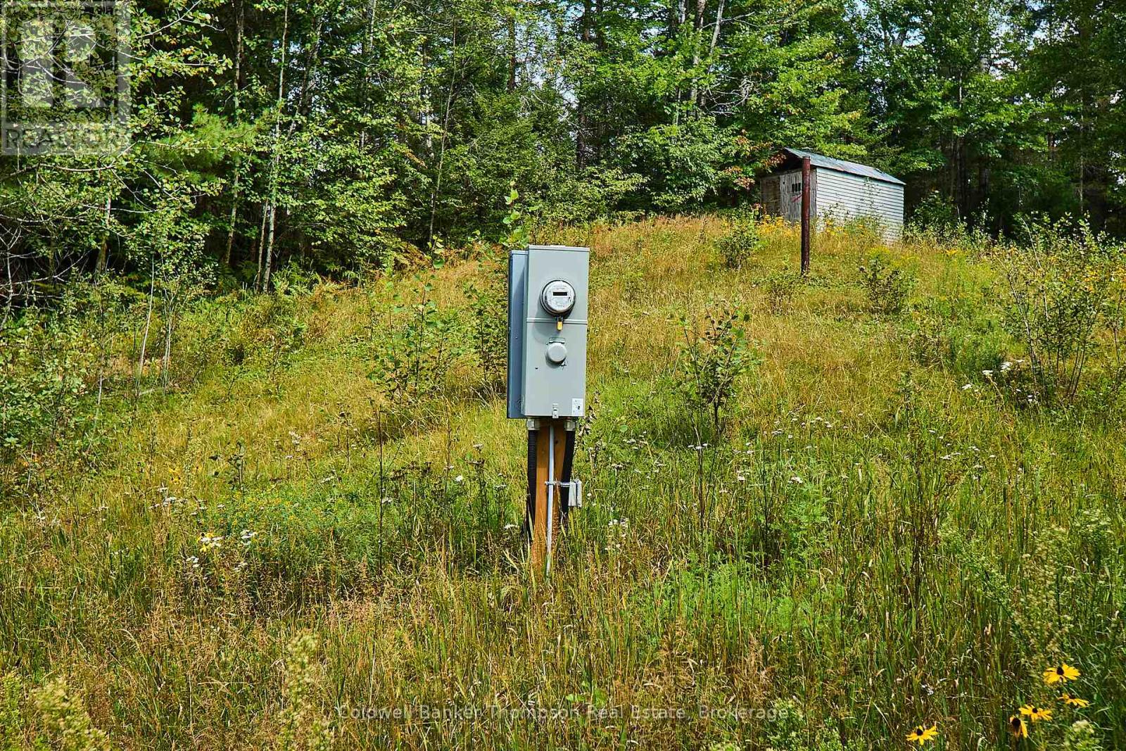 185 Halls Road E, Magnetawan, Ontario  P0A 1Z0 - Photo 8 - X12348566