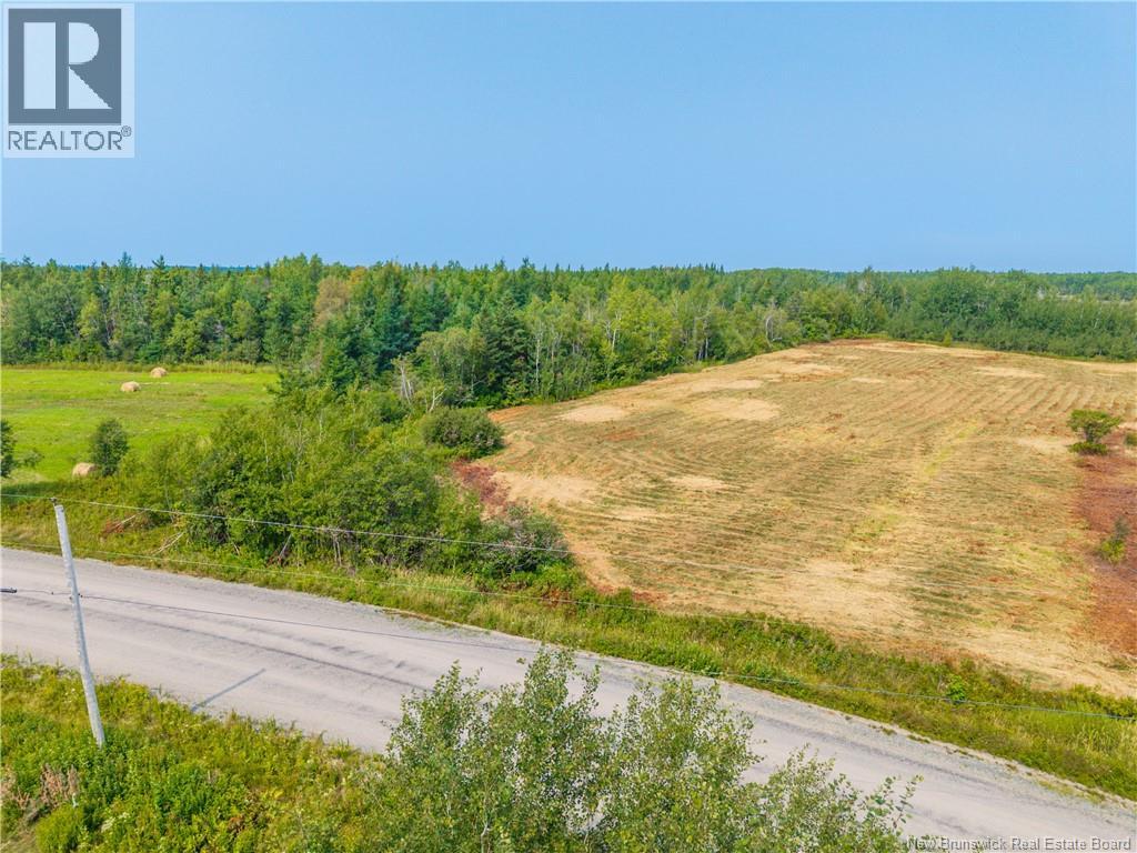 Lot 2024-1 North Black River Rd, Black River Bridge, New Brunswick  E1N 5T4 - Photo 7 - NB110599