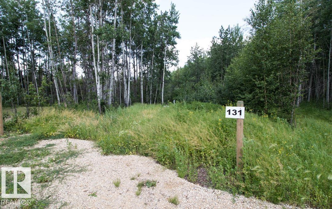 #131 5519 Twp Rd 550, Rural Lac Ste. Anne County, Alberta  T0E 0L0 - Photo 2 - E4426717