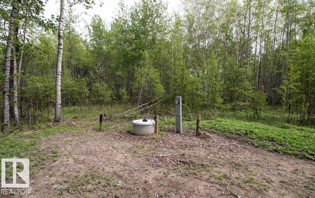 #131 5519 Twp Rd 550, Rural Lac Ste. Anne County, Alberta  T0E 0L0 - Photo 4 - E4426717
