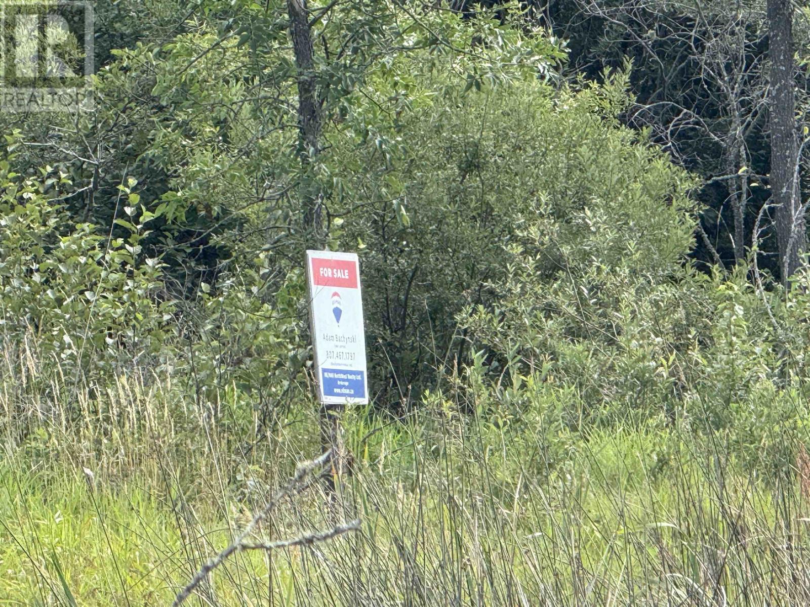 Lot 3 Battigelli Dr, Kenora, Ontario  P9N 1G5 - Photo 25 - TB251664