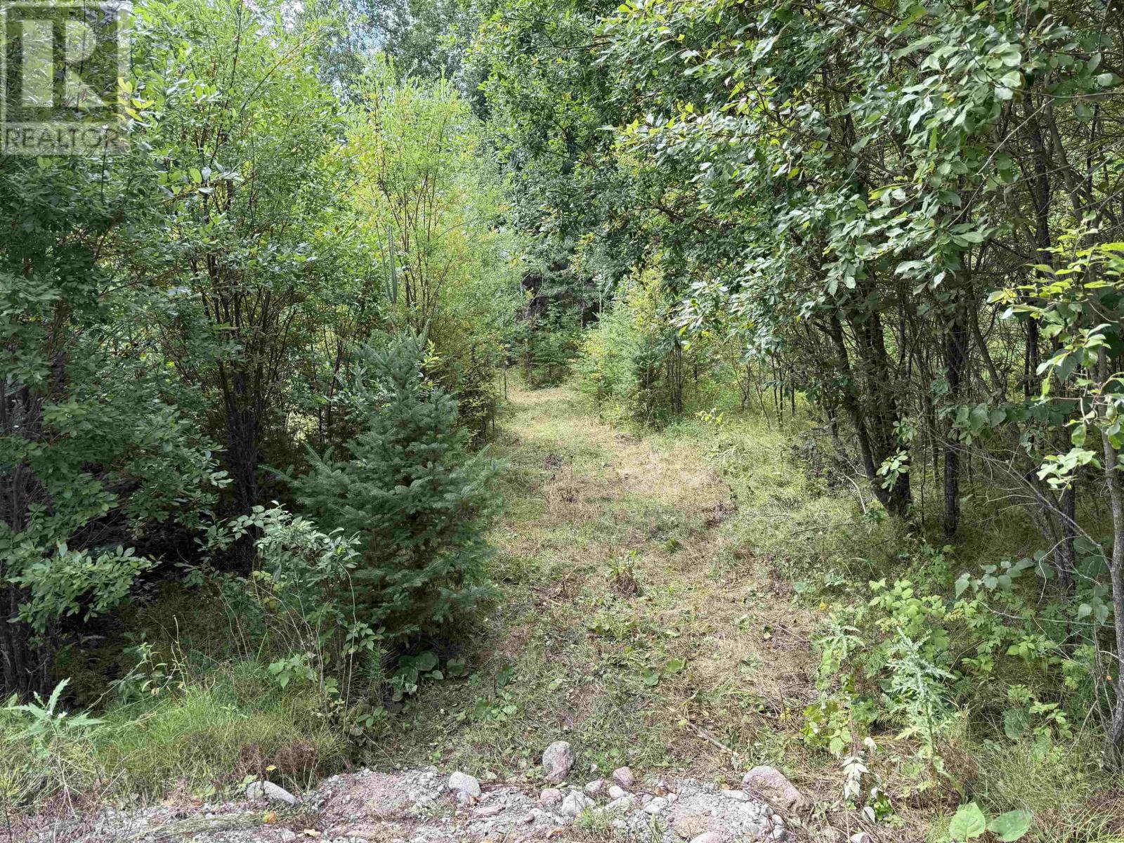 Lot 3 Battigelli Dr, Kenora, Ontario  P9N 1G5 - Photo 21 - TB251664