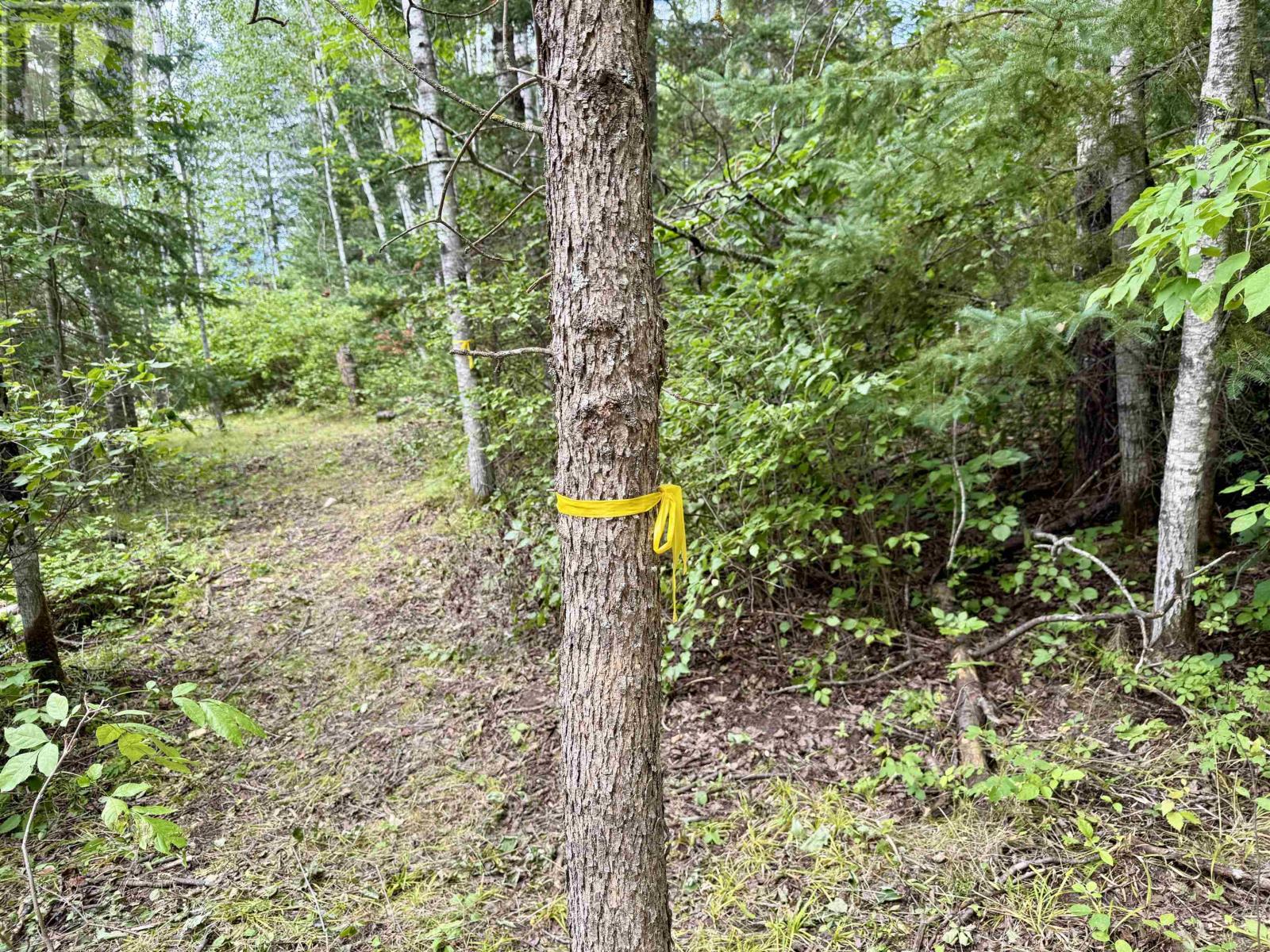 Lot 3 Battigelli Dr, Kenora, Ontario  P9N 1G5 - Photo 6 - TB251664