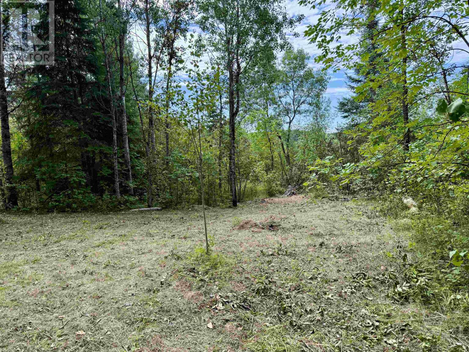 Lot 3 Battigelli Dr, Kenora, Ontario  P9N 1G5 - Photo 4 - TB251664