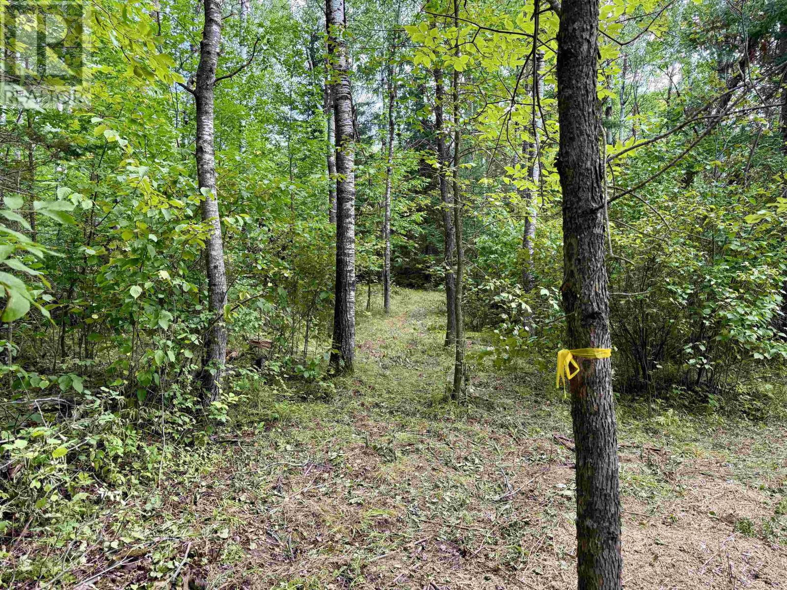 Lot 3 Battigelli Dr, Kenora, Ontario  P9N 1G5 - Photo 7 - TB251664