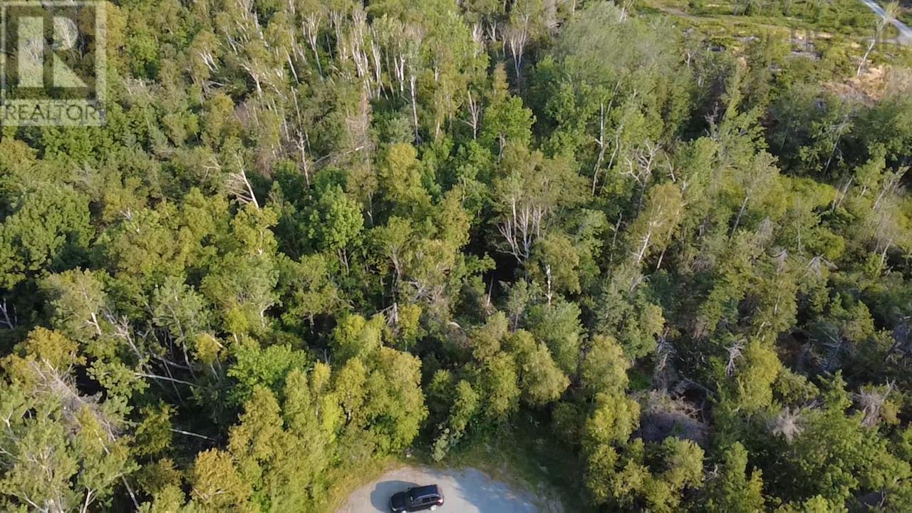 Lot 213 Macdonald Drive, Chance Harbour, Nova Scotia  B0K 1X0 - Photo 6 - 202520819