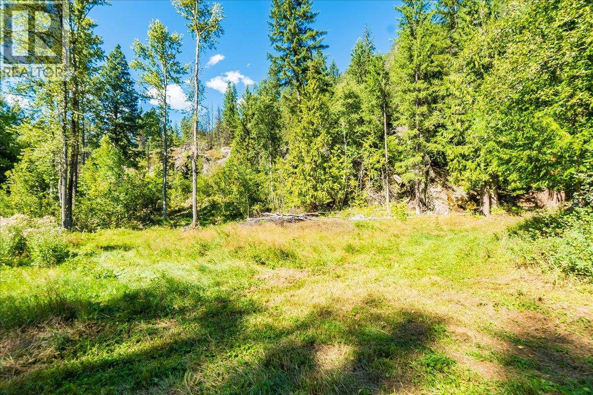 2485 Upper Gibson Road, Castlegar, British Columbia  V1N 4S7 - Photo 43 - 10359657