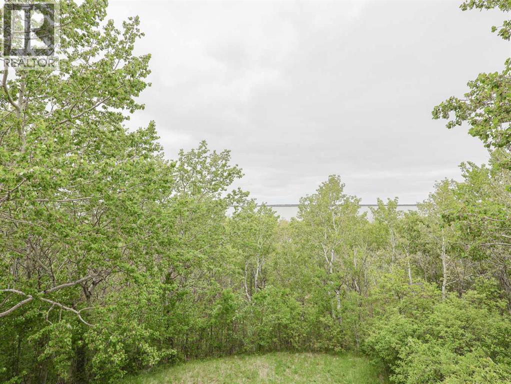30 Macdonald Drive, Rural Stettler No. 6, Alberta  T0C 2L0 - Photo 43 - A2223888