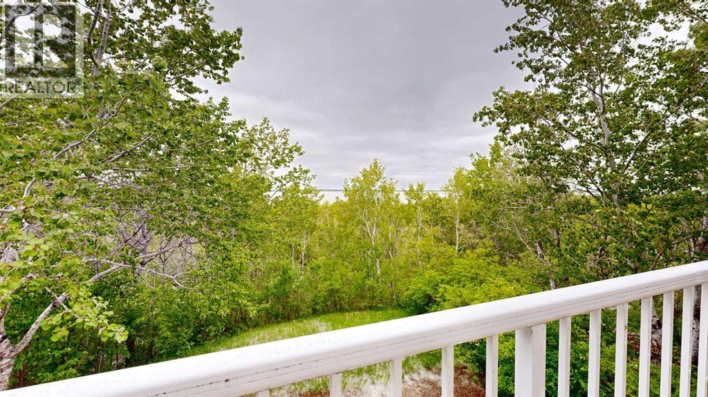 30 Macdonald Drive, Rural Stettler No. 6, Alberta  T0C 2L0 - Photo 49 - A2223888