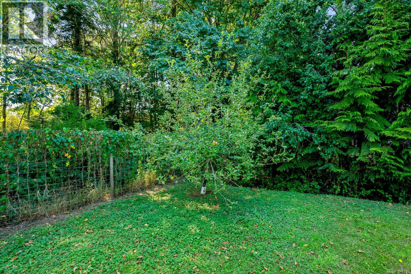 1255 Wilkinson Rd, Comox, British Columbia  V9M 4B8 - Photo 6 - 1011311