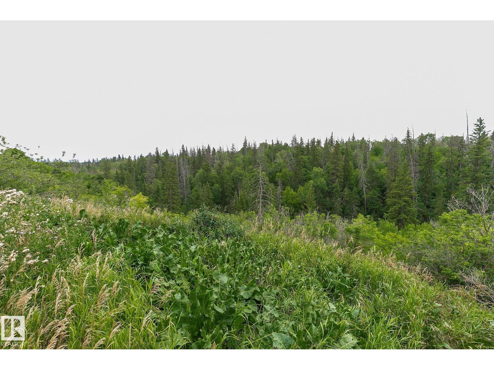 7611 112s Av Nw, Edmonton, Alberta  T5B 0H4 - Photo 37 - E4453418