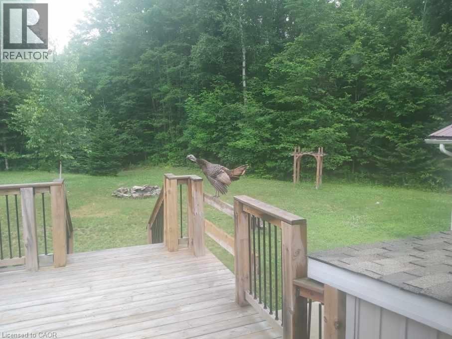 17182 Highway 118, Haliburton, Ontario  K0M 1S0 - Photo 48 - 40761139