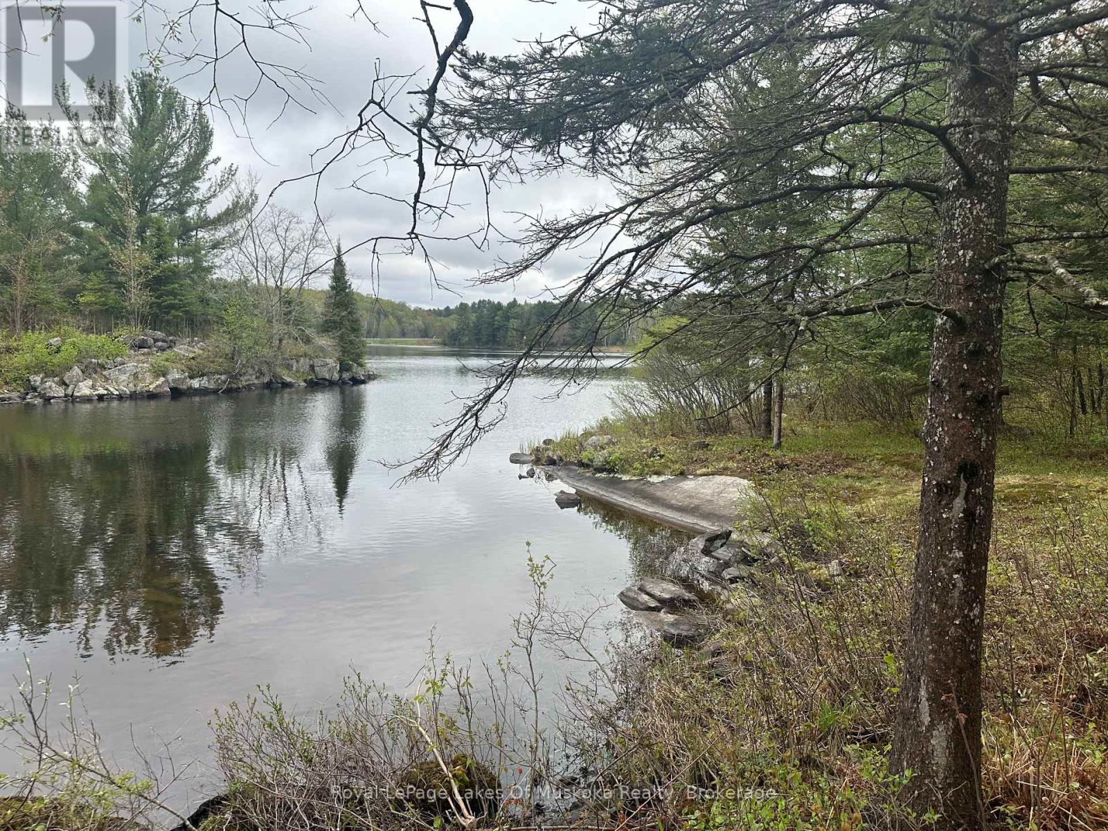 71 Victoria Street, Magnetawan, Ontario  P0A 1P0 - Photo 42 - X12154464