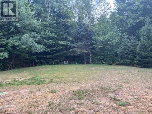17182 Highway 118, Highlands East (Monmouth), Ontario  K0M 1S0 - Photo 43 - X12349305