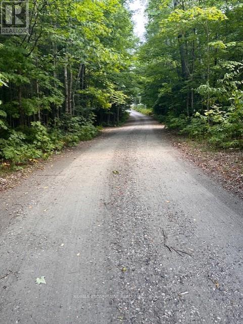17182 Highway 118, Highlands East (Monmouth), Ontario  K0M 1S0 - Photo 45 - X12349305