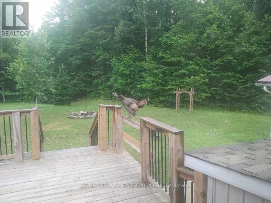 17182 Highway 118, Highlands East (Monmouth), Ontario  K0M 1S0 - Photo 49 - X12349305