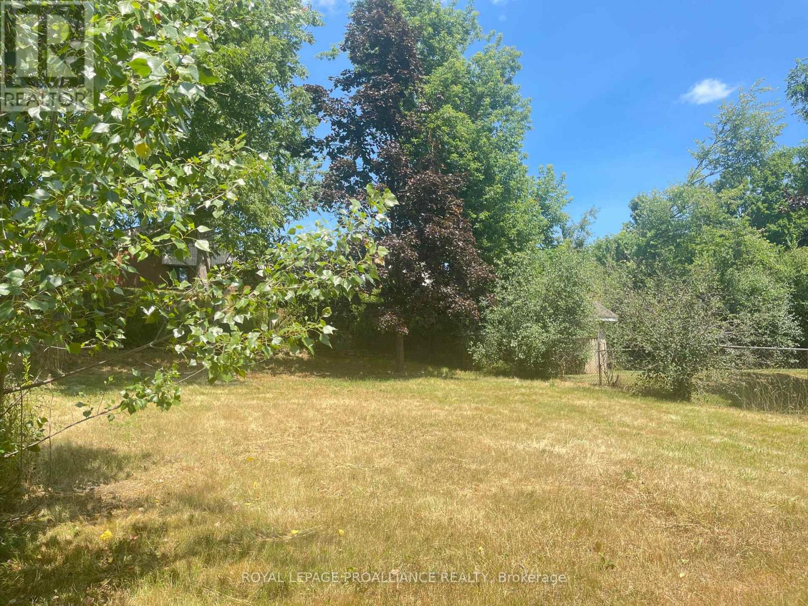 440 Bellevue Street, Peterborough North (South), Ontario  K9H 5G6 - Photo 10 - X12347657