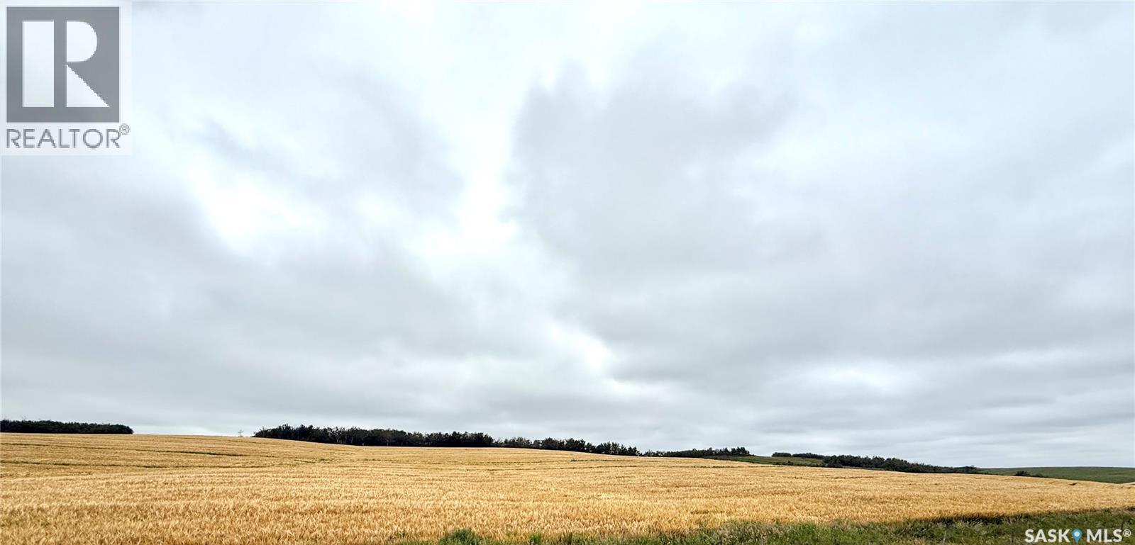Rm Of Douglas Acres, Douglas Rm No. 436, Saskatchewan  S0M 2V0 - Photo 2 - SK014204