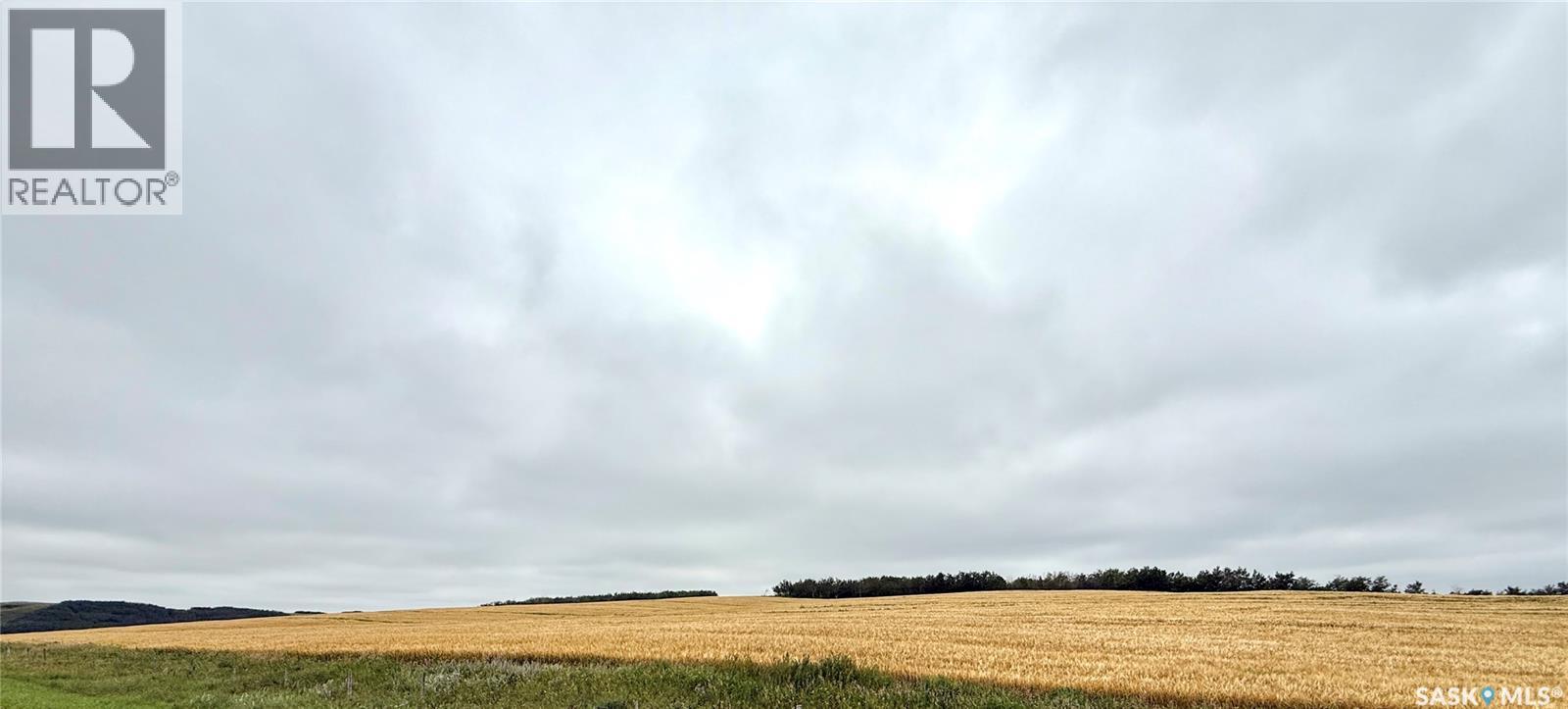Rm Of Douglas Acres, Douglas Rm No. 436, Saskatchewan  S0M 2V0 - Photo 3 - SK014204