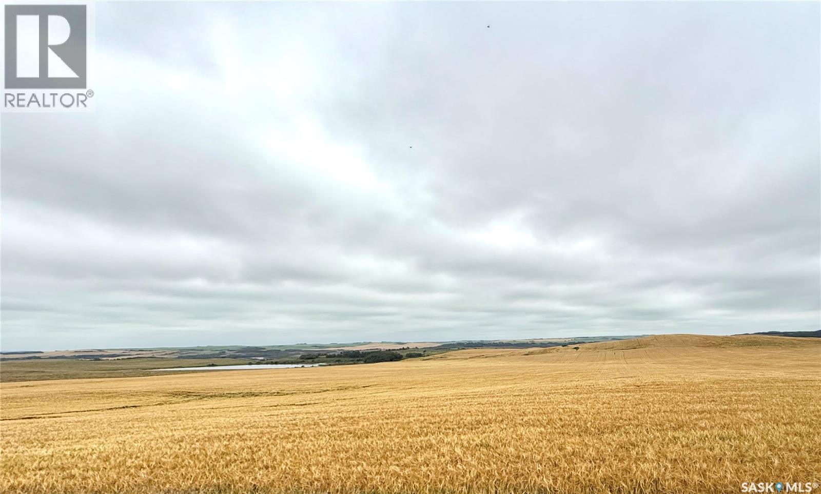 Rm Of Douglas Acres, Douglas Rm No. 436, Saskatchewan  S0M 2V0 - Photo 10 - SK014204