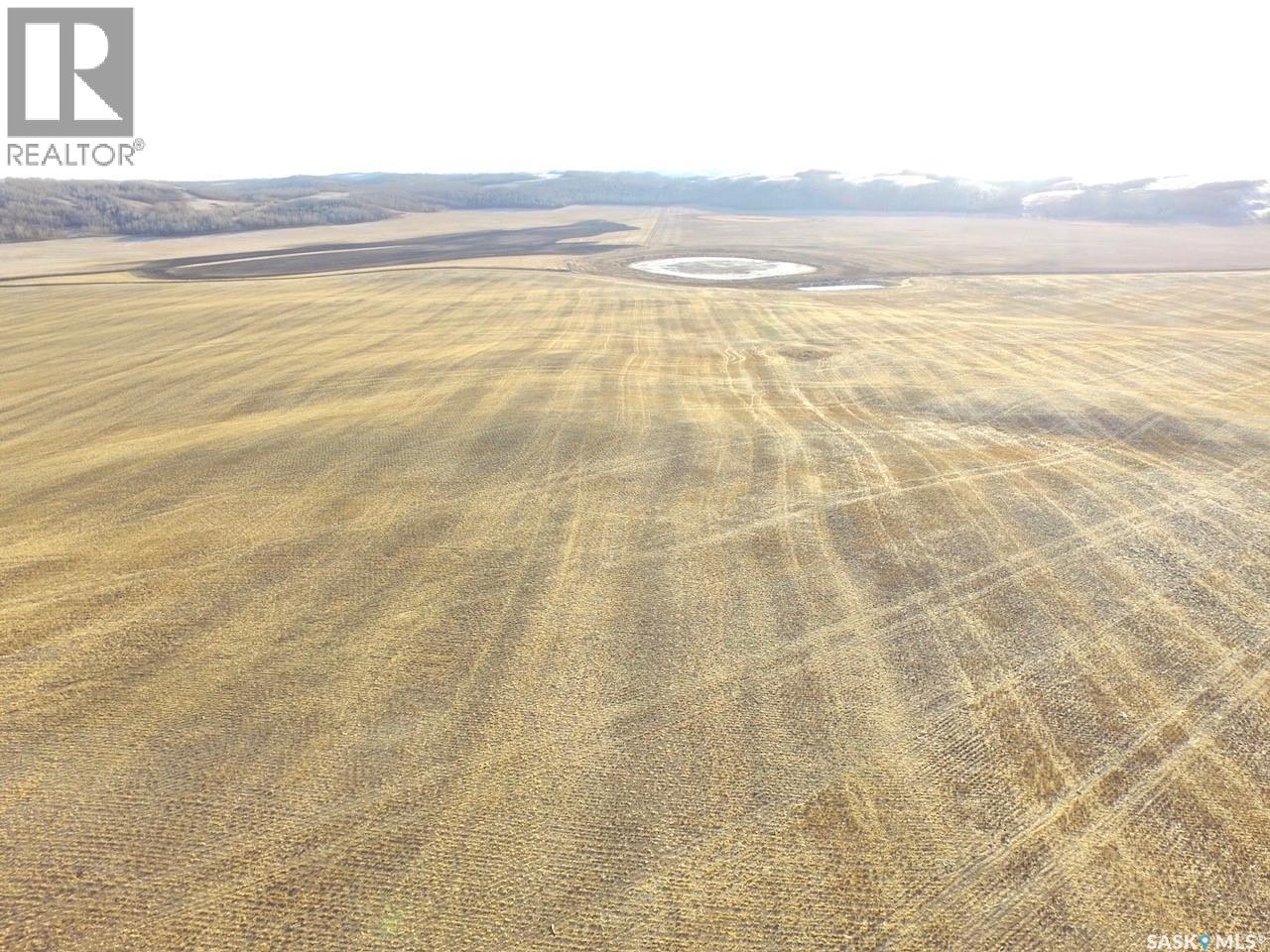 Rm Of Douglas Acres, Douglas Rm No. 436, Saskatchewan  S0M 2V0 - Photo 14 - SK014204