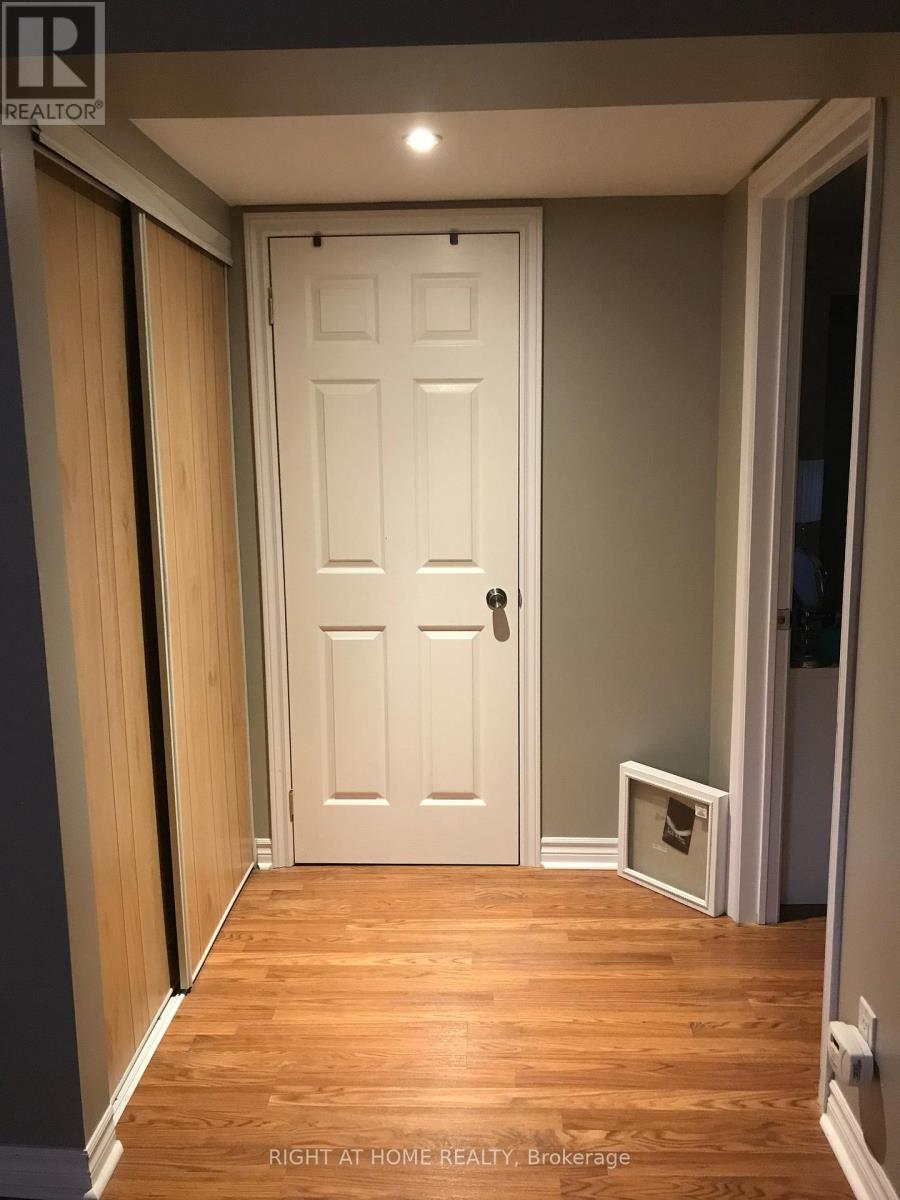 Basement - 66 Murellen Crescent, Toronto, Ontario  M4A 2K5 - Photo 15 - C12349449