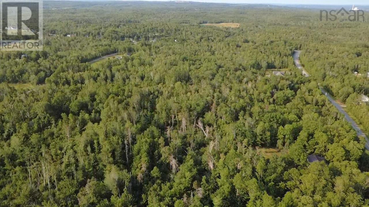 Lot Pictou Landing Road, Chance Harbour, Nova Scotia  B0K 1X0 - Photo 12 - 202520842